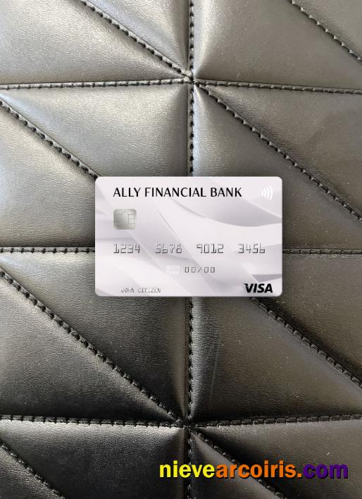 USA Ally Financial Bank visa card photolook